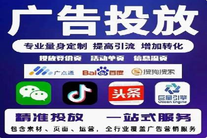 百度竞价SEM案例：揭秘高效广告投放技巧