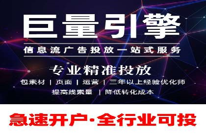 专业SEM服务公司案例分析报告